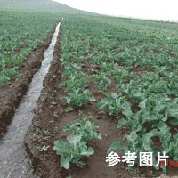 ��������ͬ����ɽ��30Ķ���س�������