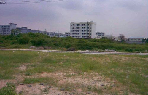 Ȫ���彭�������н鹫˾