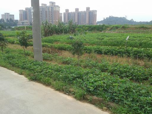 ������סլ�õ�