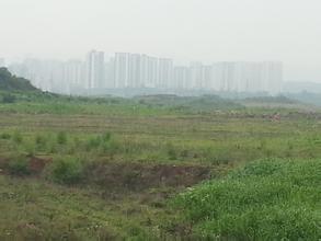 漳州市商服用地