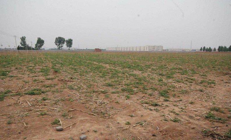 ����ʹ��Ȩ������ʹ��Ȩ��Ϣ������ʹ��Ȩ��ת������ʹ��Ȩ��վ