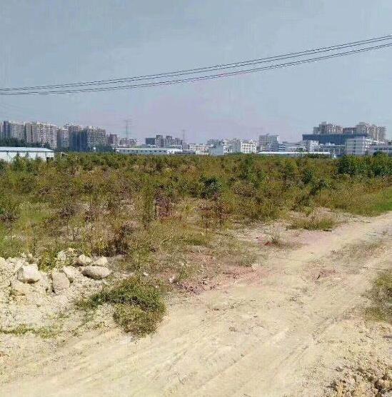 �������أ�����������վ������������Ϣ�����ָ�������